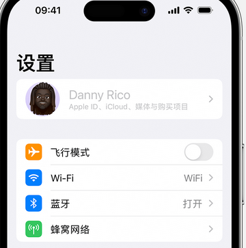 长沙appleID维修服务iPhone设置中Apple ID显示为灰色无法使用 