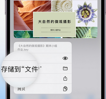 长沙apple维修中心分享iPhone文件应用中存储和找到下载文件