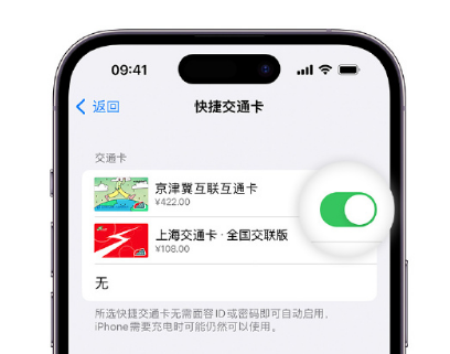 长沙apple维修点分享iPhone上更换Apple Pay快捷交通卡手绘卡面 