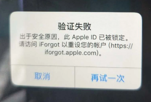 长沙iPhone维修分享iPhone上正常登录或使用AppleID怎么办 