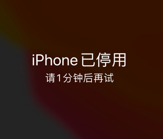 长沙苹果手机维修分享:iPhone 显示“不可用”或“已停用”怎么办？还能保留数据吗？ 