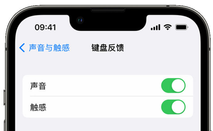 长沙苹果手机维修分享iPhone 14触感键盘使用方法 