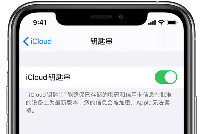 长沙苹果手机维修分享在 iPhone 上开启 iCloud 钥匙串之后会储存哪些信息 