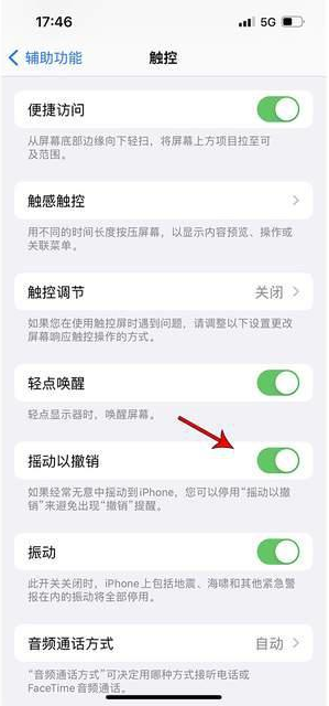 长沙苹果手机维修分享iPhone手机如何设置摇一摇删除文字 