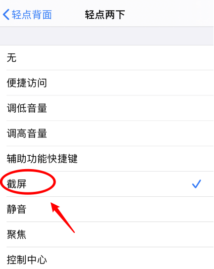 长沙苹果手机维修分享iPhone12如何启用双击截屏 
